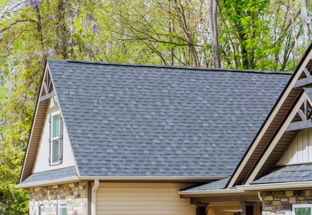 Best Roof Coating and Sealing  in Brunswick, MD